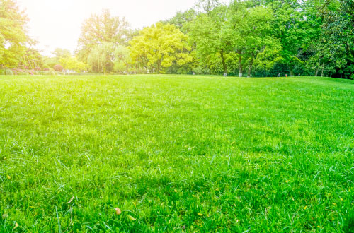 aménagement-des-espaces-verts Aménagements du parc du Château