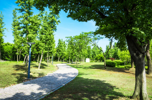 aménagement-parc-chemin Conception d'espaces verts, agencement des espaces verts en zones urbaines