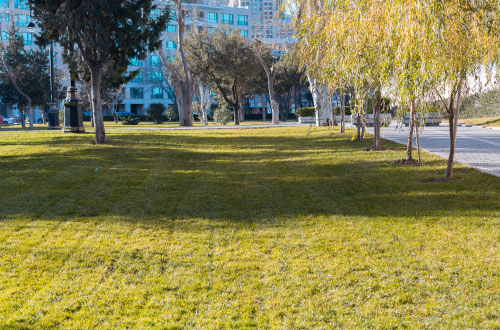 aménagement-parc Entretien des parcs situés aux abords d'une mairie