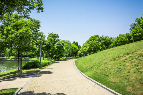 chemin Sentier pédestre au cœur d'un parc