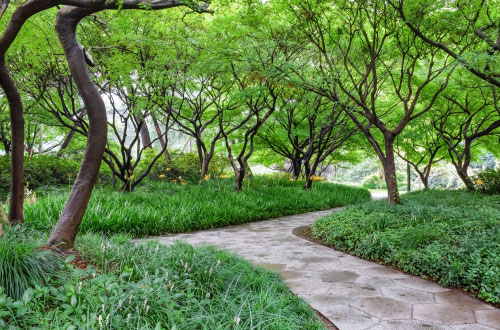 espace-verts-entretien Chemin pédestre dans un parc paysager