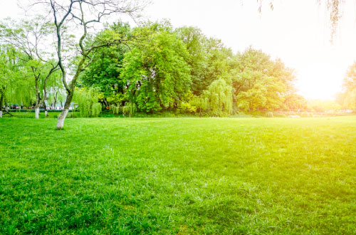 parc-paysager Parc public d'une ville de France