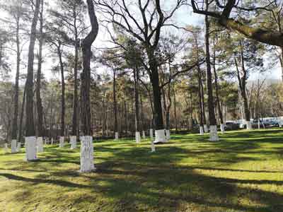 Travaux de terrassement pour l’extension d’un cimetière Travaux de terrassement pour l’extension d’un cimetière